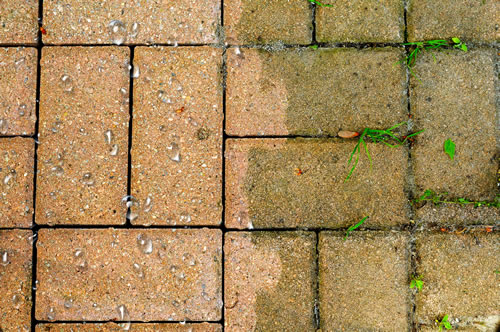 Paver Cleaning Service Montreal Qc