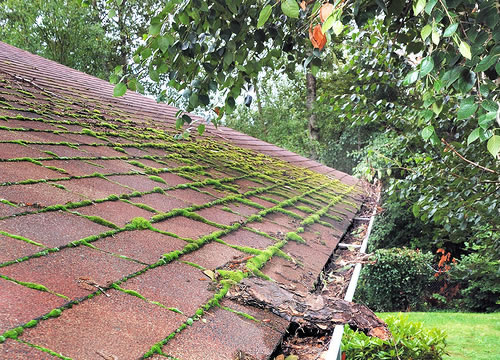 Roof Washing And Cleaning Services Columbus Ohio