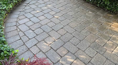 Paver Pathway Cleaning and Restoration