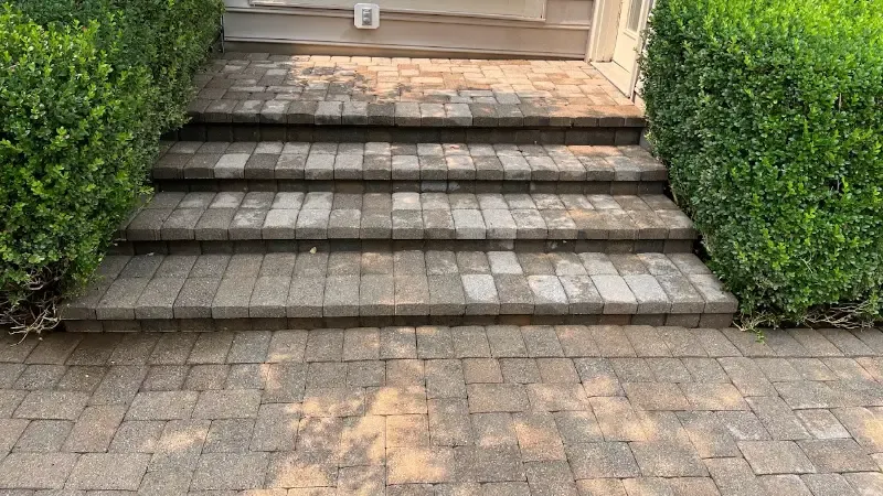 ba9 after cleaning process